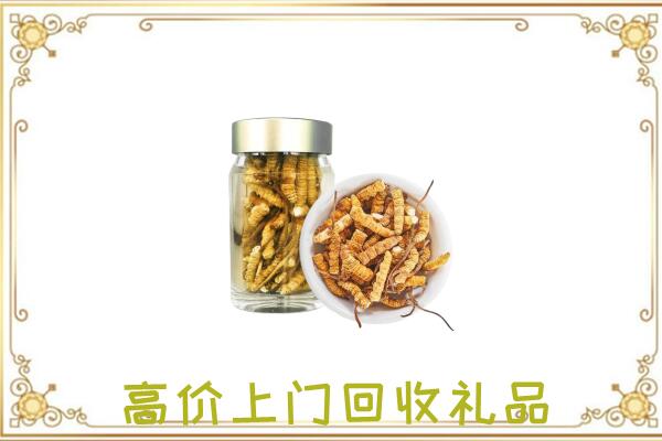 长白周边回收虫草